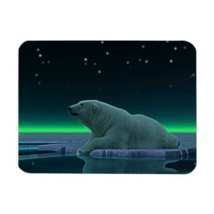 Íman Urso polar da borda do gelo