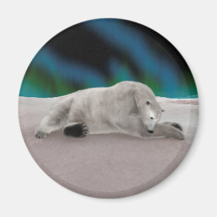 Íman Urso Polar Descansando