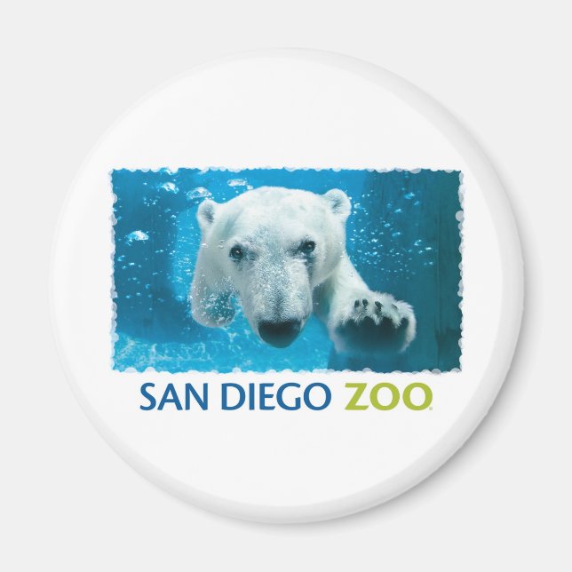 Íman Urso Polar do Zoo de San Diego (Frente)