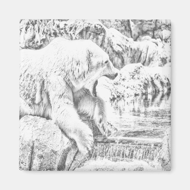 Íman Urso polar e água (Frente)