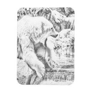 Íman Urso polar e água