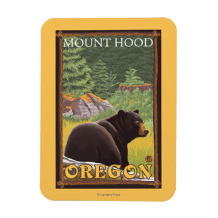 Íman Urso preto na floresta - capa da montagem, Oregon