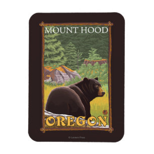 Íman Urso preto na floresta - capa da montagem, Oregon