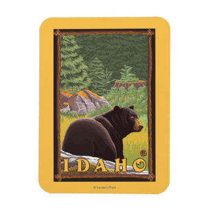 Íman Urso preto na floresta - Idaho