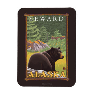 Íman Urso preto na floresta - Seward, Alaska
