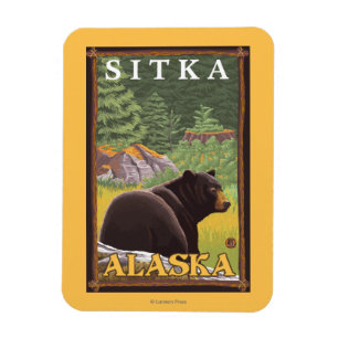 Íman Urso preto na floresta - Sitka, Alaska