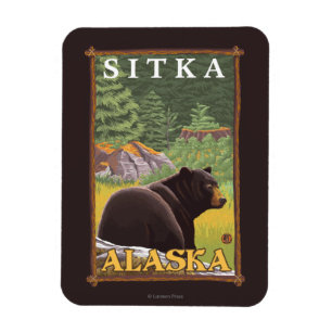 Íman Urso preto na floresta - Sitka, Alaska