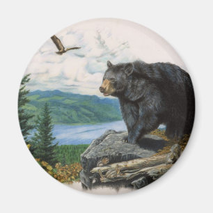 Íman Urso preto Ridge