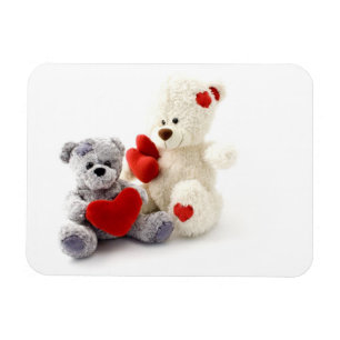 Íman Ursos De Teddy Têm Magnetos De Altura Premium