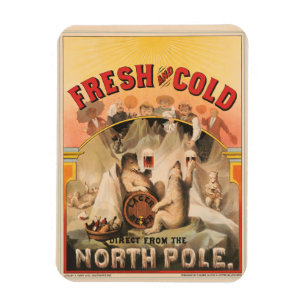 Íman Ursos Polares Estão Aproveitando Lâmpadas De Cerve