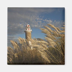 Íman Uruguai, Departamento de Montevidéu, Montevidéu. 2