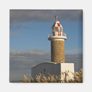 Íman Uruguai, Departamento de Montevidéu, Montevidéu. 3