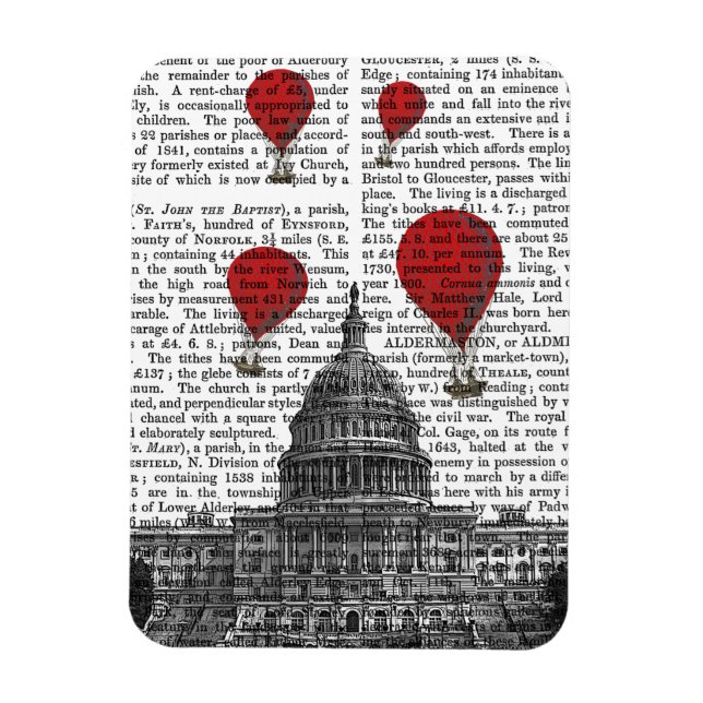 Íman US Capitólio Building and Red Hot Air Balloons (Vertical)