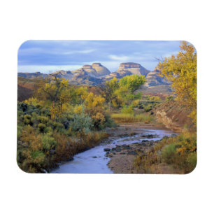 Íman UTAH. EUA. Pleasant Creek no outono ao nascer do s