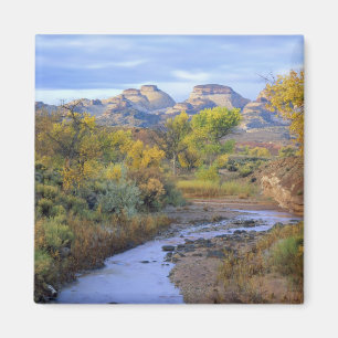 Íman UTAH. EUA. Pleasant Creek no outono ao nascer do s