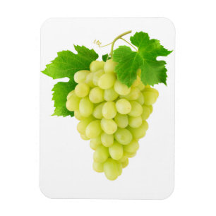Íman Uva branca
