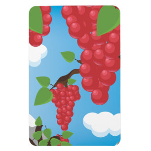Íman uvas