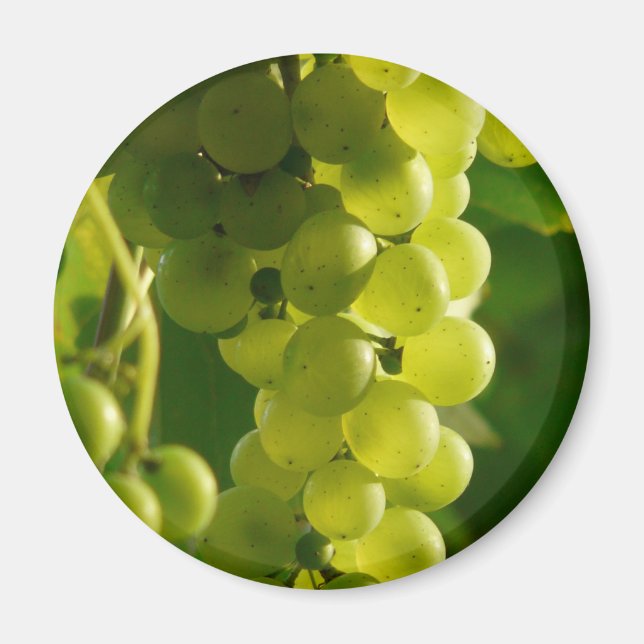 Íman Uvas (Frente)