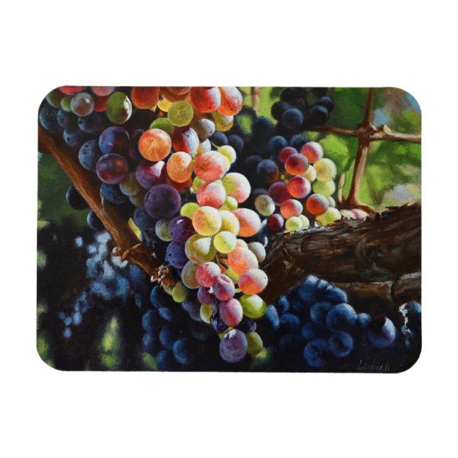 Íman Uvas de abundância para amantes e vinhas de vinho (Horizontal)