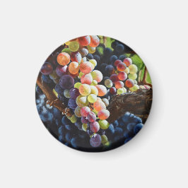 Íman Uvas de abundância para amantes e vinhas de vinho