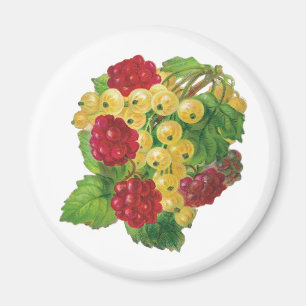 Íman Uvas e Berries Magnets