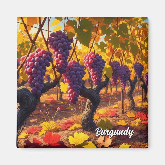 Íman Uvas na Borgonha França Viagem (Frente)