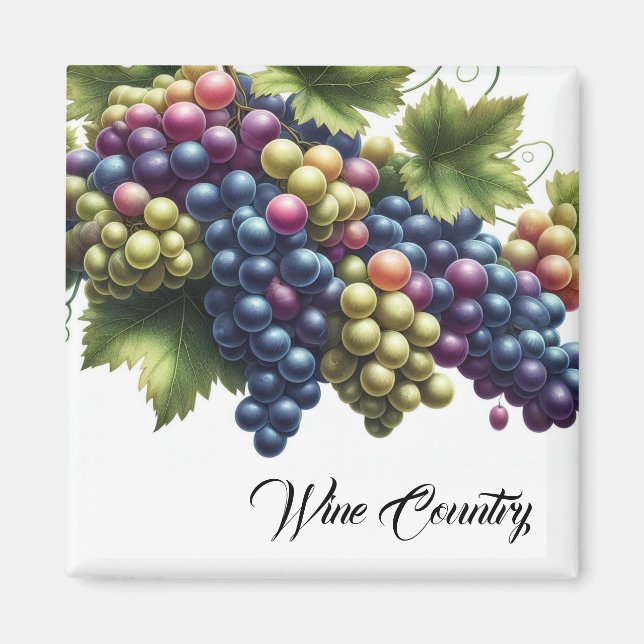Íman Uvas para países de vinho (Frente)