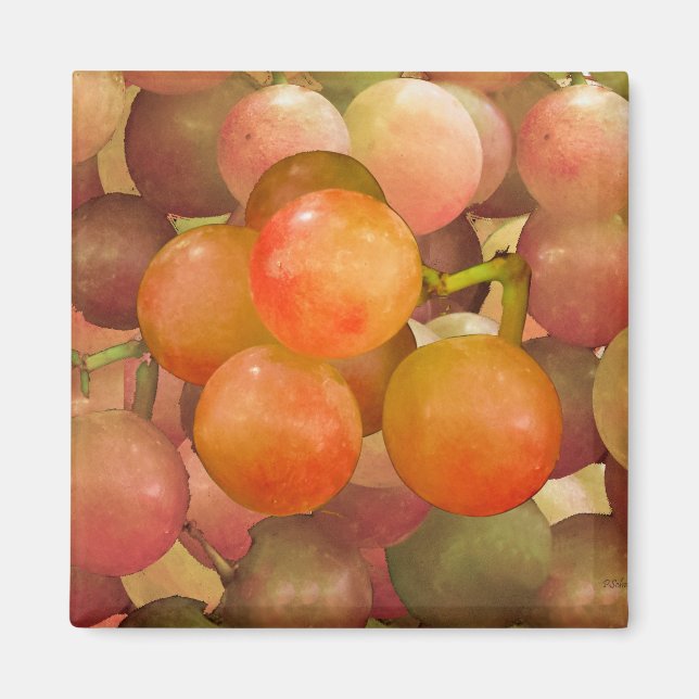 Íman Uvas sem Frath (Frente)