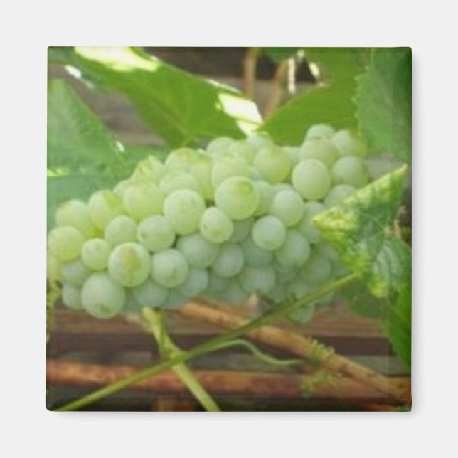 Íman Uvas Verdes da Califórnia (Frente)