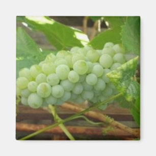 Íman Uvas verdes de Califórnia