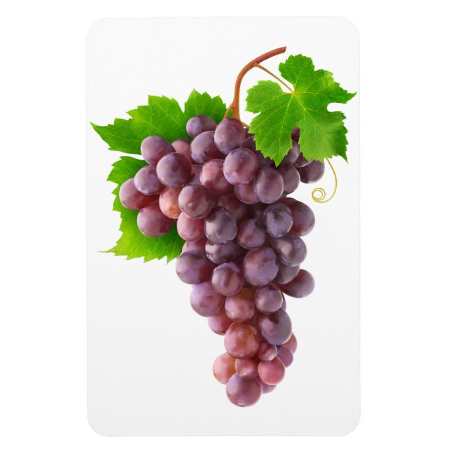 Íman Uvas vermelhas (Vertical)