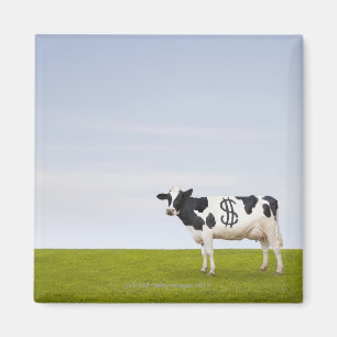 Íman Vaca de Holstein Dairy com manchas na forma de