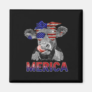 Íman Vaca Do Dia Merica 4º De Julho Vacas Alojadas