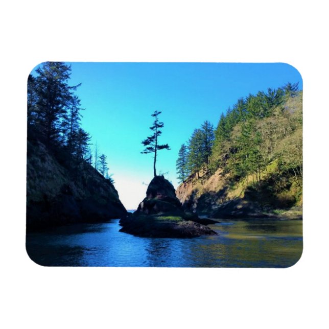 Íman Vaca do morto, Desapontamento do Cabo, Washington (Horizontal)