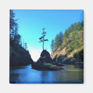 Íman Vaca do morto, Desapontamento do Cabo, Washington