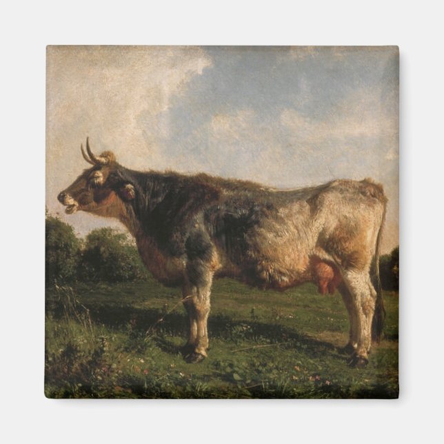 Íman Vaca em campo (Fazenda animal) (por Filippo Palizz (Frente)