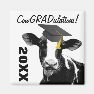 Íman Vaca engraçada da graduação dos parabéns no bo