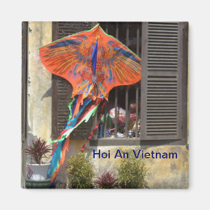 Íman Vai a mosca um papagaio