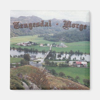 Íman Vale de Tengesdal