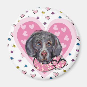 Íman Valentim Weimaraner