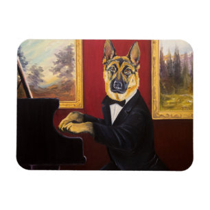 Íman Valsa do piano do german shepherd  