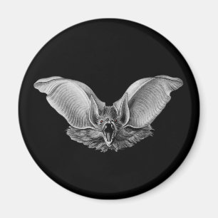 Íman Vampiro? Bastão?