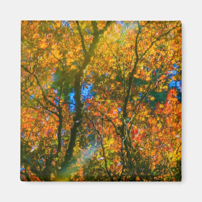 Íman Van Dusen Botanical Garden Vancouver, Canadá (Frente)