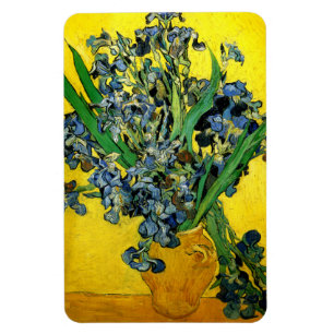 Íman Van Gogh: Íris