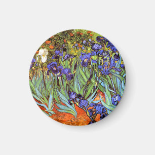 Íman Van Gogh: Íris