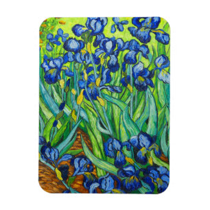 Íman Van Gogh Irises