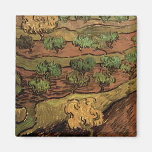 Íman Van Gogh Olive Trees Contra um Morro