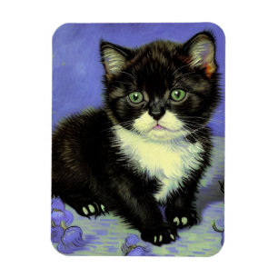 Íman Van Gogh Tuxedo Kitten