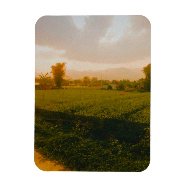 Íman Vang Vieng - Laos  (Vertical)