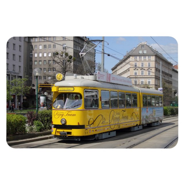 Íman Vara Anel de Viena (Horizontal)